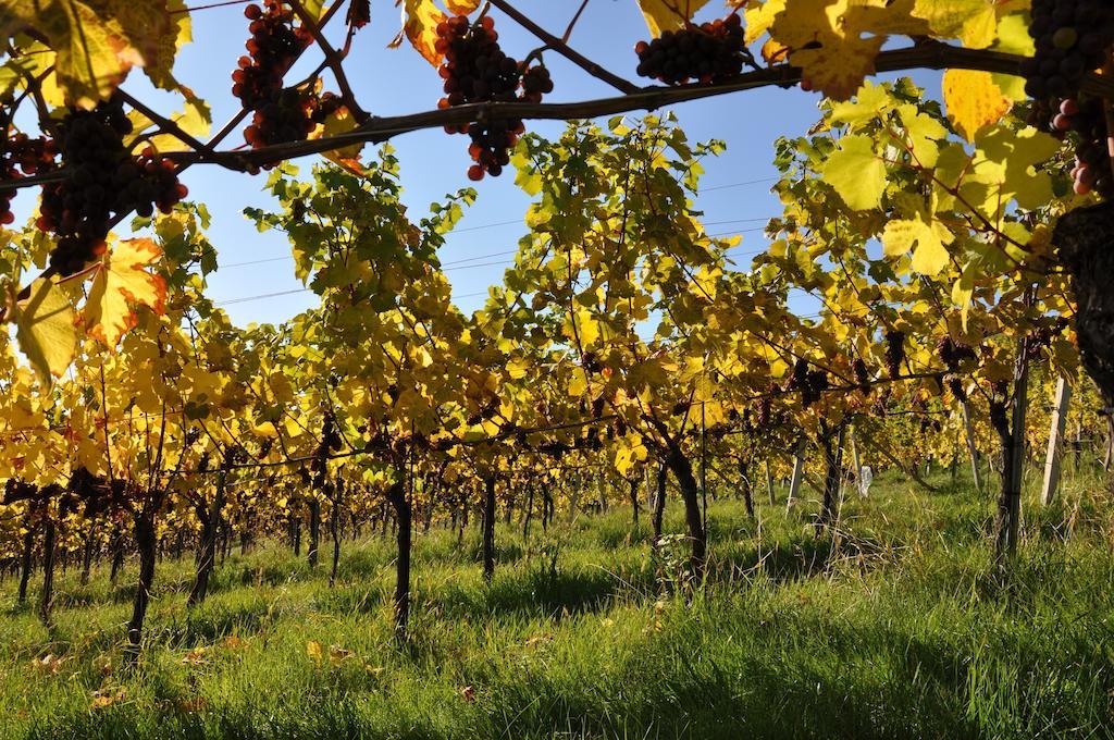 Ratsch an der Weinstraße Weingut Koegl B&B 외부 사진